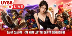 Đá Gà Cựa Dao - Cập Nhật Luật Thi Đấu Và Điểm Nổi Bật