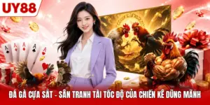 Đá Gà Cựa Sắt - Sân Tranh Tài Tốc Độ Của Chiến Kê Dũng Mãnh